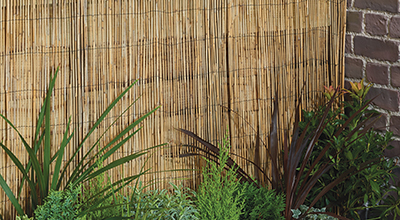 Pillirooaiad ja bambusaiad