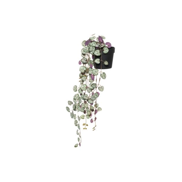 Kunsttaim 4Living Ceropegia potis H49cm