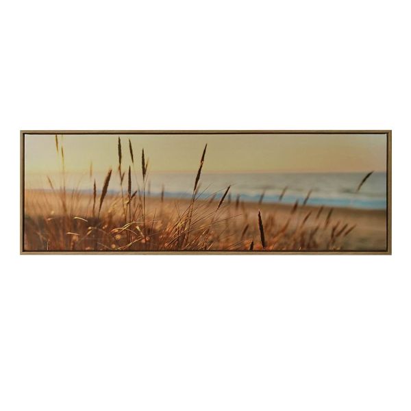Холст с рамой WALLY 30x90см, тростник