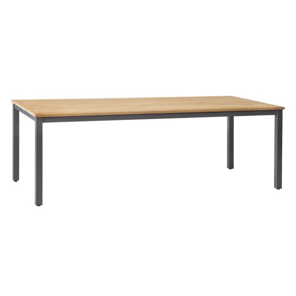 Laud MONTANA 220x100xH76cm, tiik
