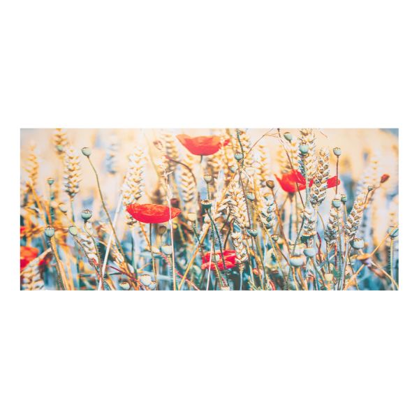 Настенная картина PICTURE LAND 50x120см, микс