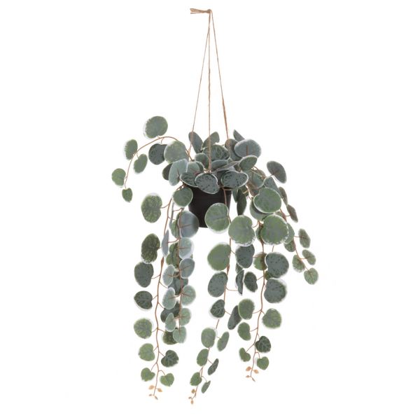 4Living Hanging green plant Chain-of hearts 40 cm