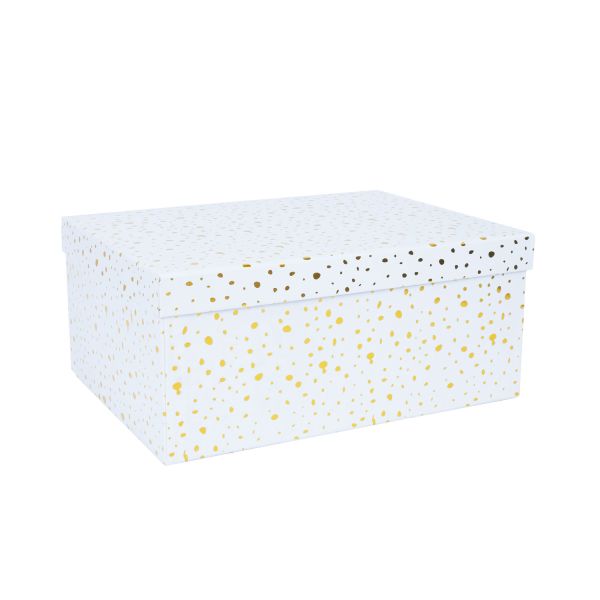 Pappkarp DIANA-5 kaanega 29x22xH12,5cm, valge kuldsete täppidega