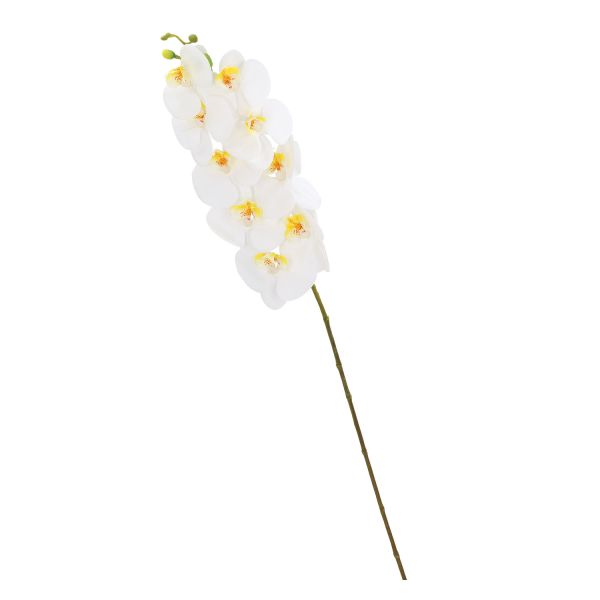 Orchid IN GARDEN H92cm, white phalaenopsis