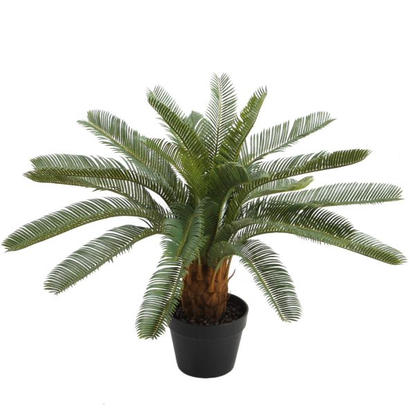 Artificial plant  WIND CYCAS H70cm