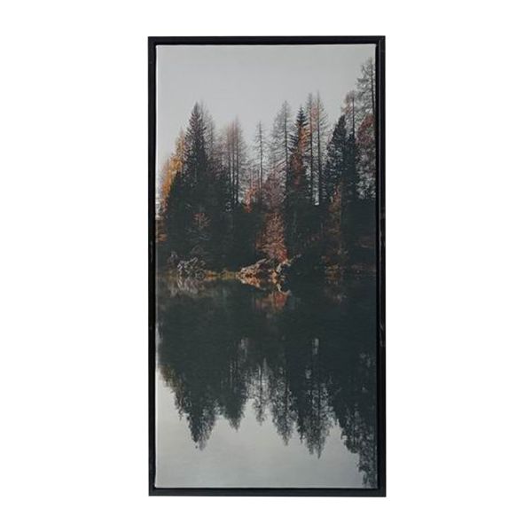 Холст с рамой WALLY 30x60cm, лес C
