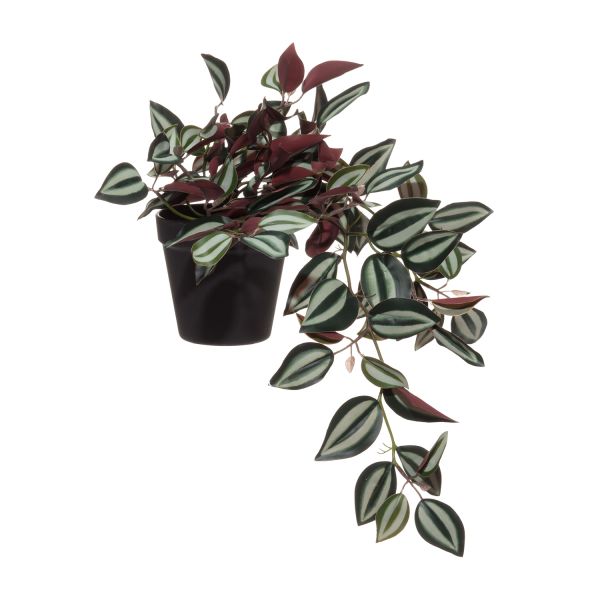 Kunsttaim 4Living SEBRALILL 35cm, potis
