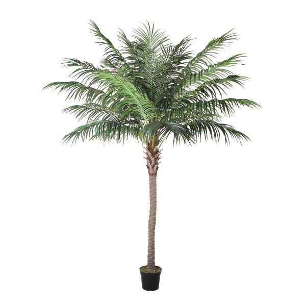 Искусственное дерево WIND PALM H260см