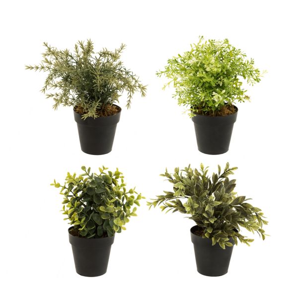 4Living Green plant assortment display