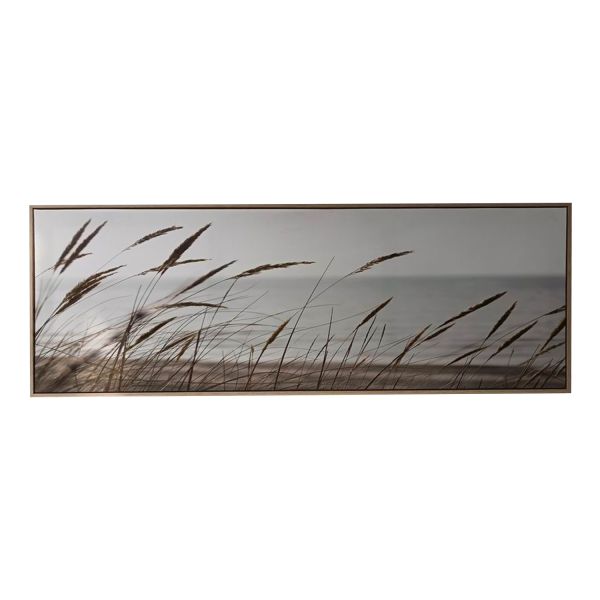 Холст с рамой WALLY 50x140см, тростник