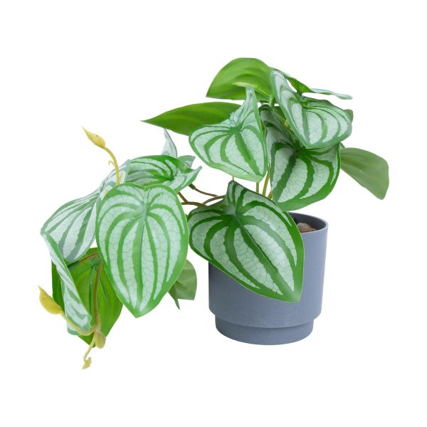 Artificial plant GREENLAND H15cm
