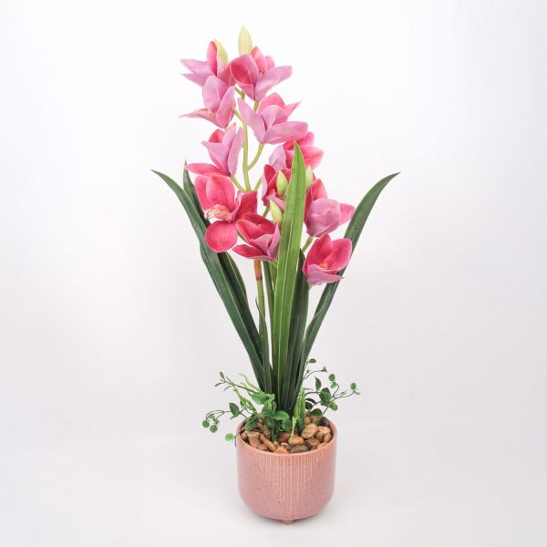 Орхидея GARDEN QUEEN H70см, темно-розовый