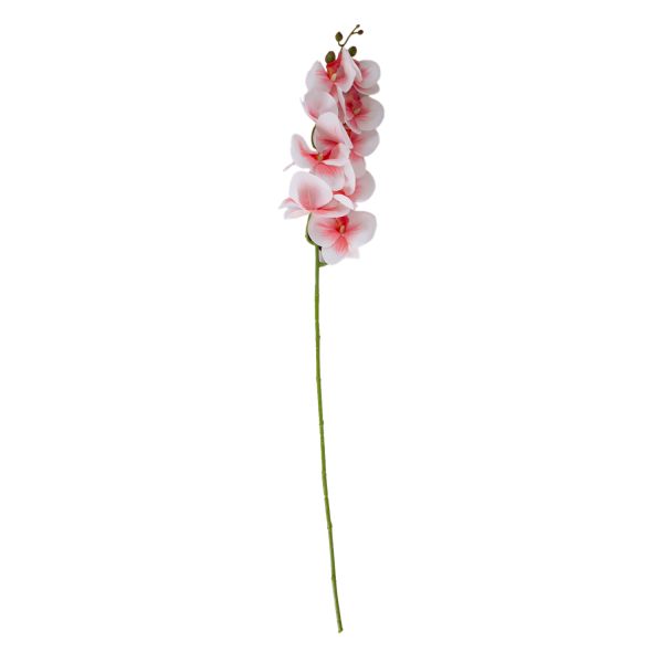 Орхидея FLOWERLY H94см, светло-розовый