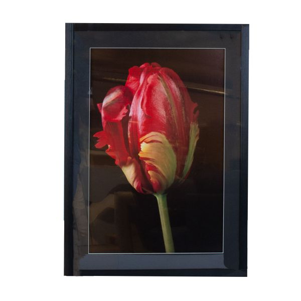 Настенная картина PICTURE LAND 50x70см