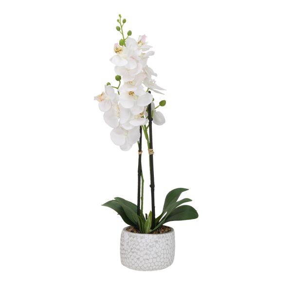 Орхидея GARDEN QUEEN H40см, белый
