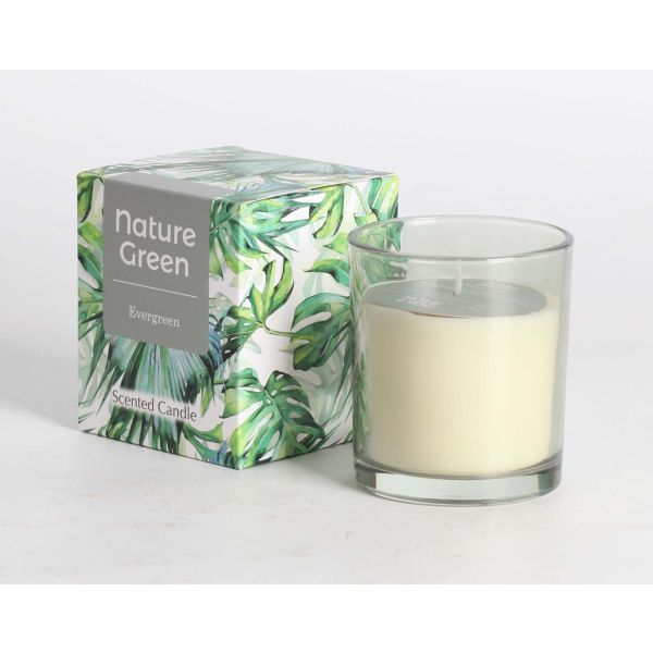 Scented candle in glass NATURE GREEN H9,5cm, Evergreen