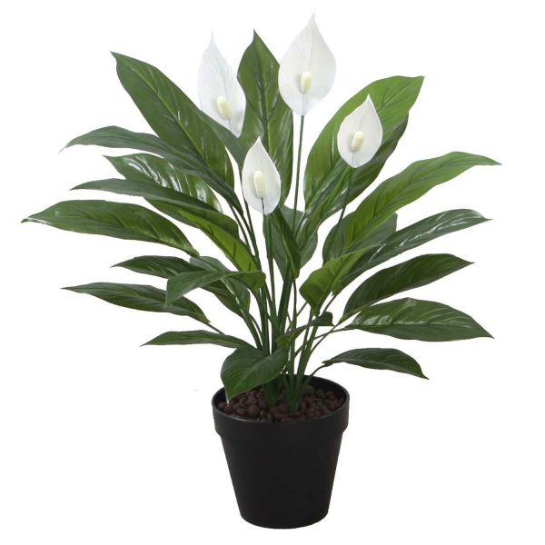 Искусственное растение SPATHE H60см, спатифиллум, чёрный горшок