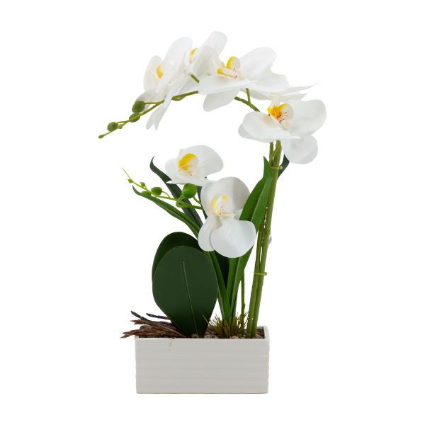 Orchid GREENLAND H41cm white pot, white flower
