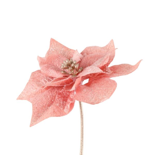 Poinsettia WINTERIA 32cm pink