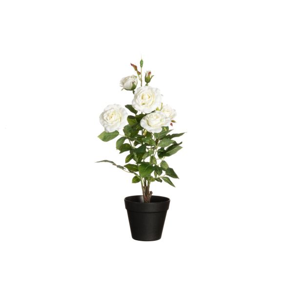 4Living Rose with big flowers in pot white 49 cm