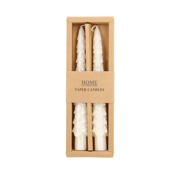 Antique candle CAROLS 2pcs 20cm white spruce