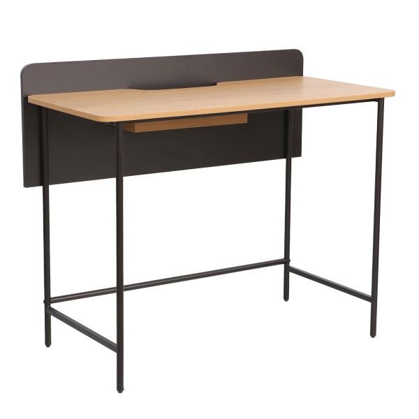 Desk HARPER 100x49,5xH85cm, ash/black