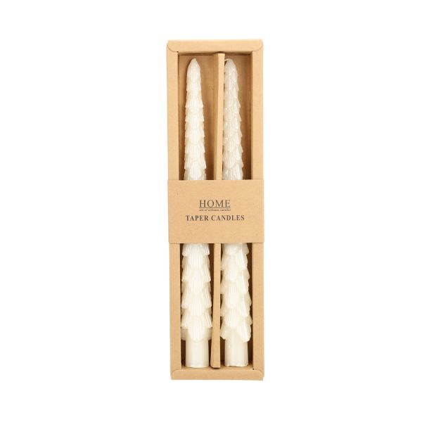 Antique candle CAROLS 2pcs 25cm white spruce