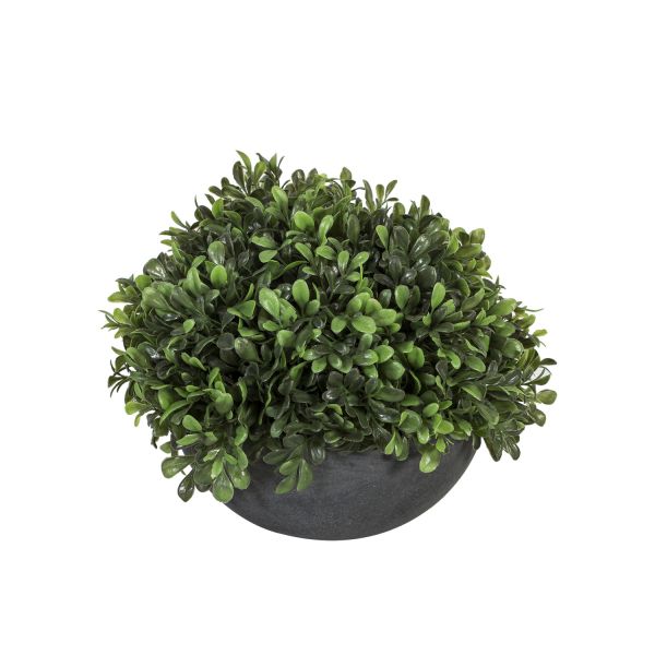 Roheline taim IN GARDEN_D24xH19cm