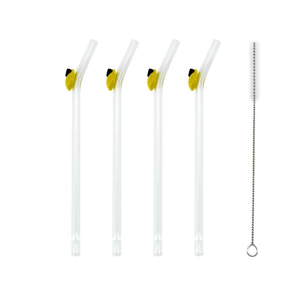 Joogikõrred LEMON 5tk H20cm klaasist