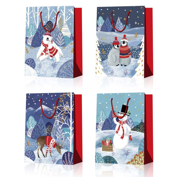 Kinkekott POLAR S, 18x23x10cm, mix
