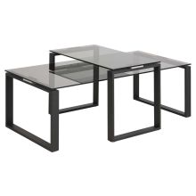 Coffee tables 2pcs KATRINE 115x55xH37,5cm, 69x40xH45cm, smoky grey