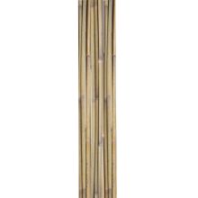 Bamboo canes IN GARDEN H180cm 10pcs/set D12/14mm
