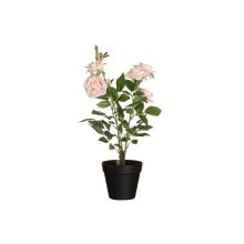 Kunstlill 4Living ROSE H49cm, kreem roos potis
