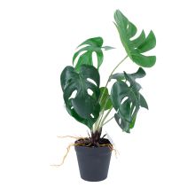 Kunsttaim GREENLAND_H40cm, "Monstera"