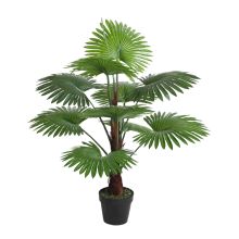Зеленое растение FAN PALM, H100cm