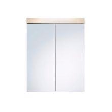 Peegelkapp AMANDA 60x17xH77cm, metsik tamm