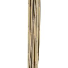 Bamboo canes IN GARDEN H150cm 10pcs/set D10/12mm