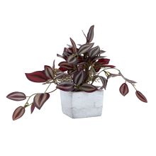 Artificial plant GREENLAND H18cm zebra flower in a square pot