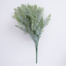 Fern IN GARDEN H30cm