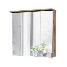 Peegelkapp LED-valgustusega MILAN 70,5x24xH72cm, tamm