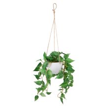 Kunsttaim GREENLAND_potis, rippuv, Kuld-