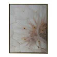 Wall art WALLY 45x60cm, dandelion
