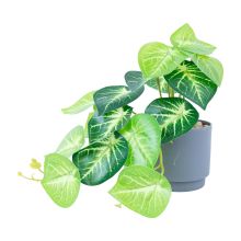 Kunsttaim GREENLAND H15cm, heleroheline