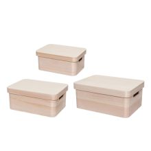 Kast 4Living BOX 30x21x13cm, kaanega