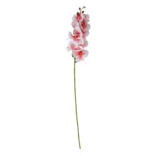 Orchid FLOWERLY H94cm, light pink