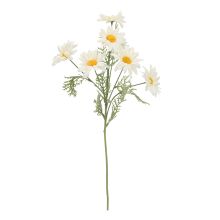 Artificial flower IN GARDEN H55,5cm, white daisy