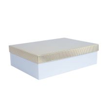Karp ELSA 24,5x17,5cm, kaanega kuld/hõbe, valge