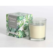 Scented candle in glass NATURE GREEN H9,5cm, Evergreen
