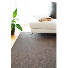 Vaip EDEN 200x300cm, linen, veluurvaip