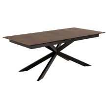Dining table IRWINE 200/240x100xH76cm, brown